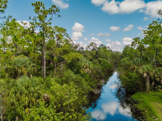 view of local wilderness featuring a water view