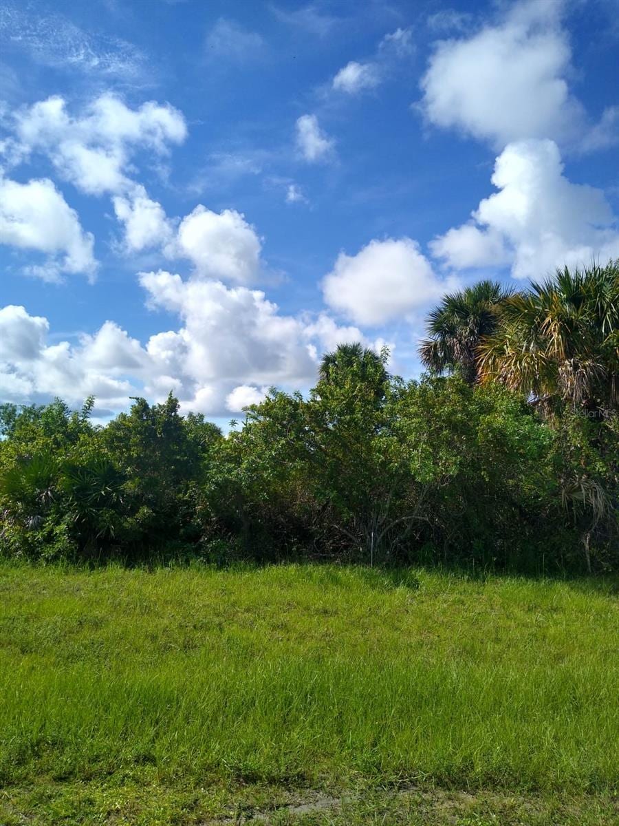 443 Albatross Rd, Rotonda West, FL 33947 - photo 3
