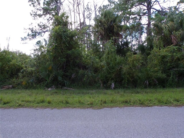 12207 Judson Ave, Port Charlotte, FL 33953 - photo 8