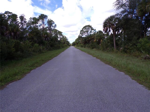 12207 Judson Ave, Port Charlotte, FL 33953 - photo 10