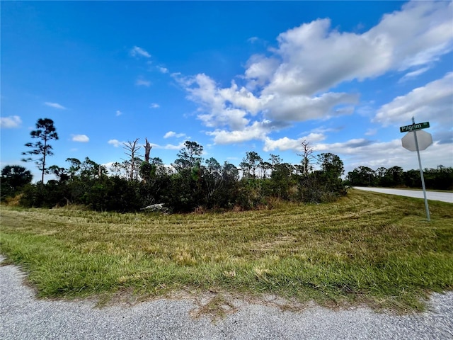 12132 Conroy Ave, Port Charlotte FL, 33981 land for sale