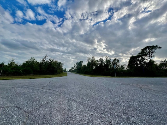 12132 Conroy Ave, Port Charlotte, FL 33981 - photo 4