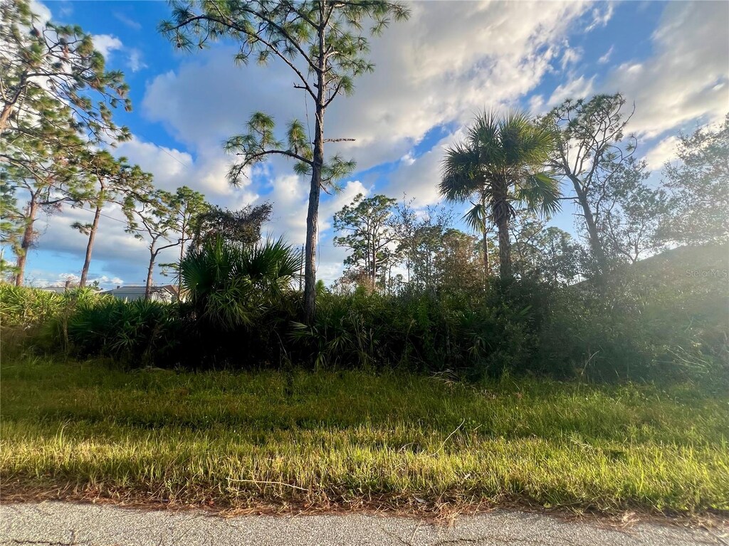 13041 Feldman Ave, Port Charlotte, FL 33981 - photo 1