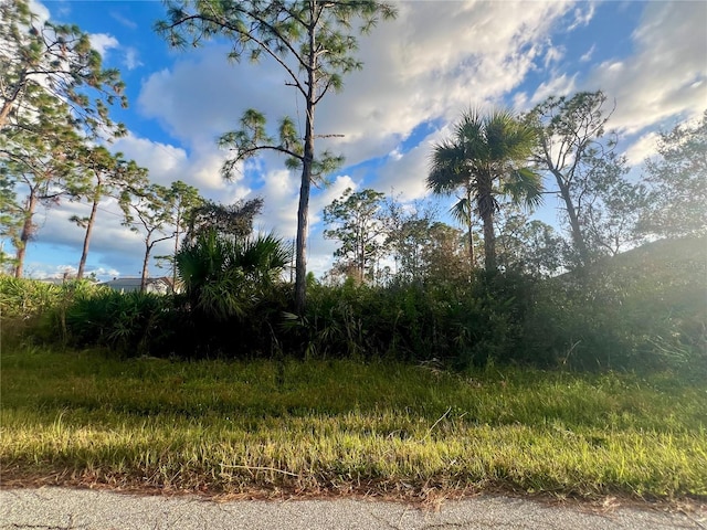 13041 Feldman Ave, Port Charlotte FL, 33981 land for sale