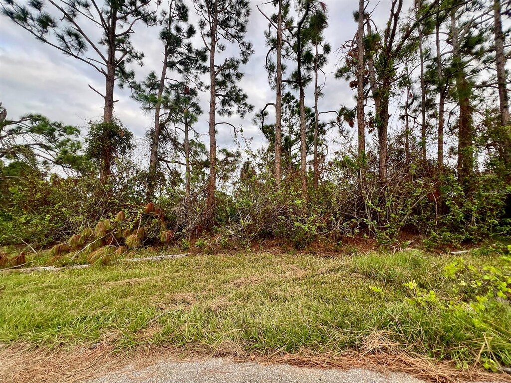 5480 Brussels Ter, Port Charlotte, FL 33981 - photo 1