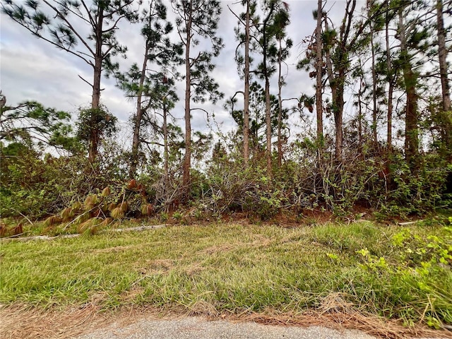 5480 Brussels Ter, Port Charlotte FL, 33981 land for sale