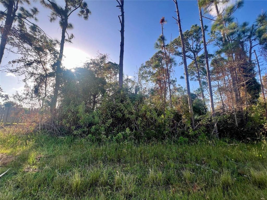 5449 Burgner St, Port Charlotte, FL 33981 - photo 3