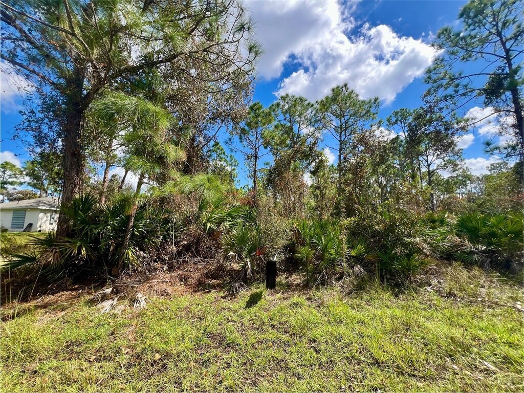 12334 Hindle Ave, Punta Gorda, FL 33955 - photo 1