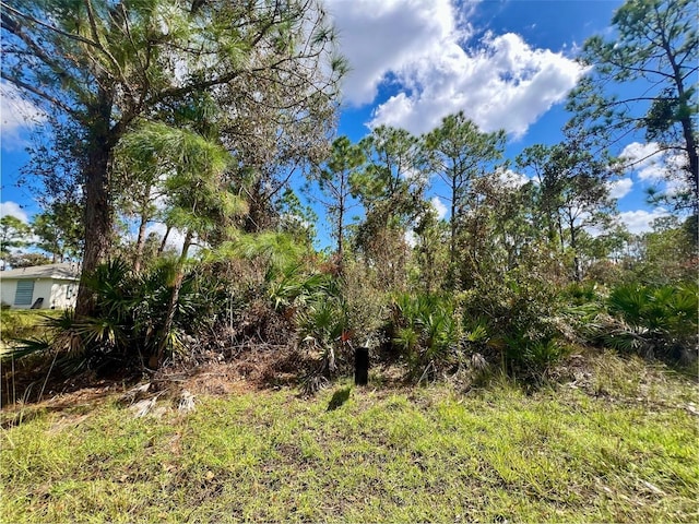 12334 Hindle Ave, Punta Gorda FL, 33955 land for sale