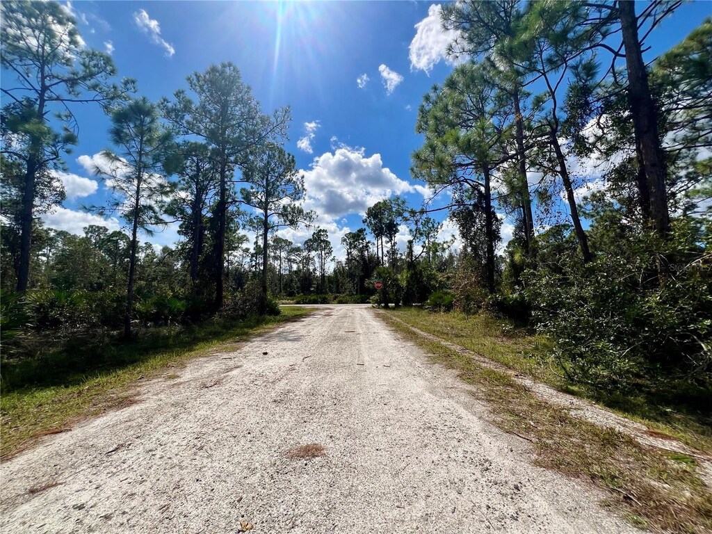 12334 Hindle Ave, Punta Gorda, FL 33955 - photo 2