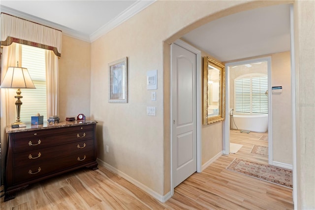 hall featuring crown molding and light wood-type flooring