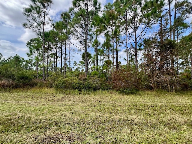 451 Fellenz St, Port Charlotte FL, 33953 land for sale