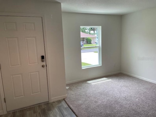 entryway with a textured ceiling and carpet