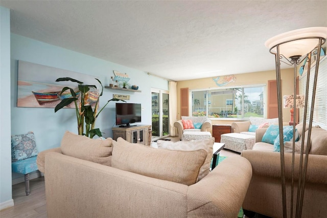 living room featuring wood-type flooring and a textured ceiling