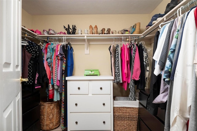 view of walk in closet