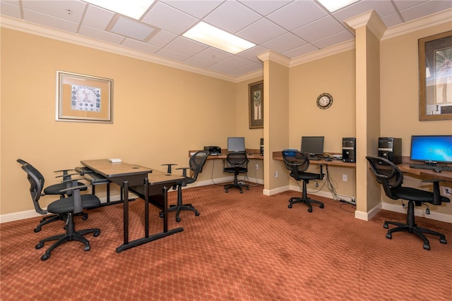 office space with a drop ceiling, ornamental molding, and carpet flooring