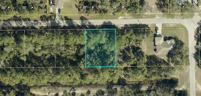 4240 E 24th St, Alva FL, 33920 land for sale