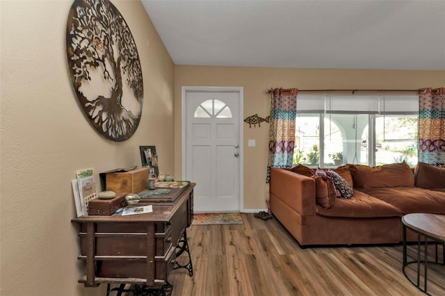 entryway with hardwood / wood-style flooring