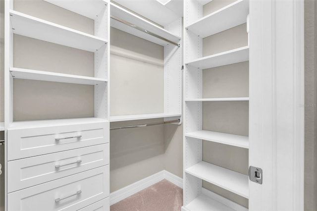 spacious closet with carpet floors