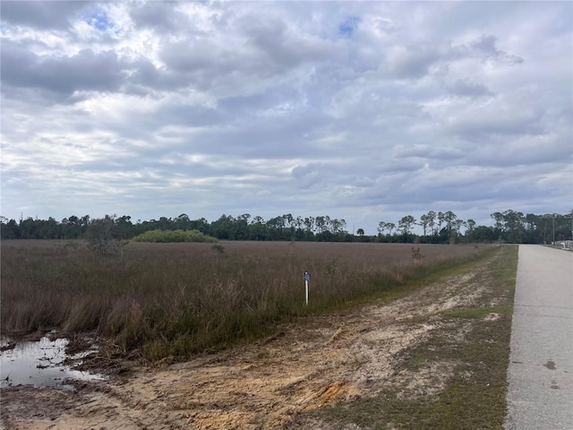 33231 Oil Well Rd, Punta Gorda, FL 33955 - photo 5