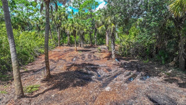 409 Cheshire St, Port Charlotte, FL 33953 - photo 2