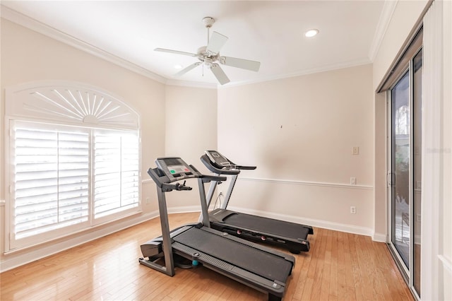 workout area featuring ornamental molding, hardwood / wood-style floors, a healthy amount of sunlight, and ceiling fan