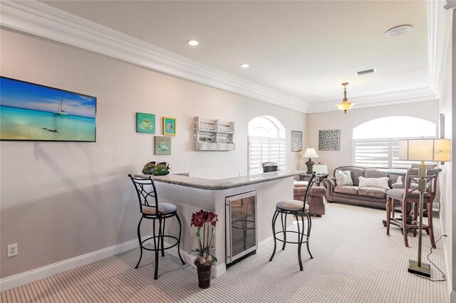1209 San Mateo Dr, Punta Gorda, FL 33950 - indoor bar featuring carpet, crown molding, plenty of natural light, baseboards, and recessed lighting