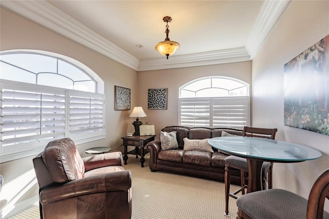 carpeted living room featuring crown molding