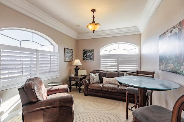 1209 San Mateo Dr, Punta Gorda, FL 33950 - living area with ornamental molding and carpet flooring