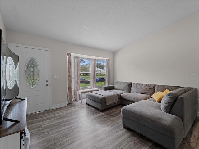 living room with wood-type flooring and a textured ceiling