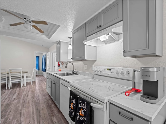 kitchen with ceiling fan, sink, white appliances, gray cabinetry, and dark hardwood / wood-style flooring