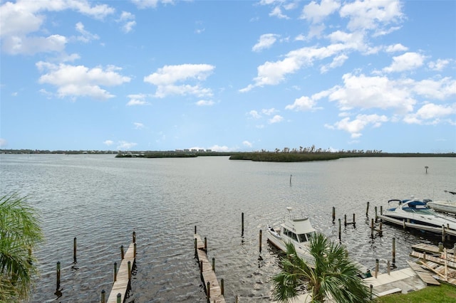 dock area featuring a water view