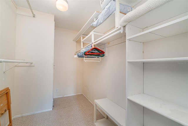 9011 Midnight Pass Rd Unit 329, Sarasota, FL 34242 - spacious closet with carpet