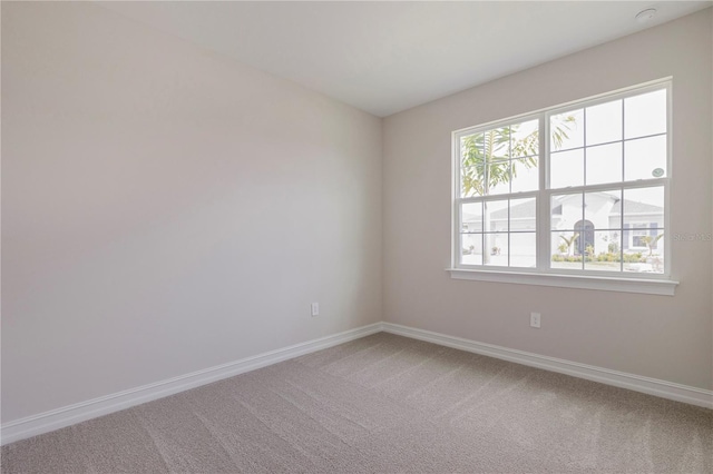 spare room with carpet floors