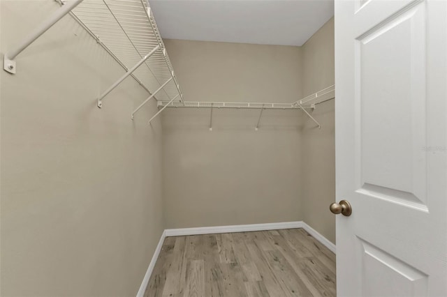 spacious closet featuring light wood-type flooring