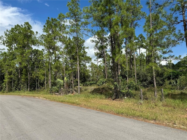 2124 Jackson Ave, Alva FL, 33920 land for sale