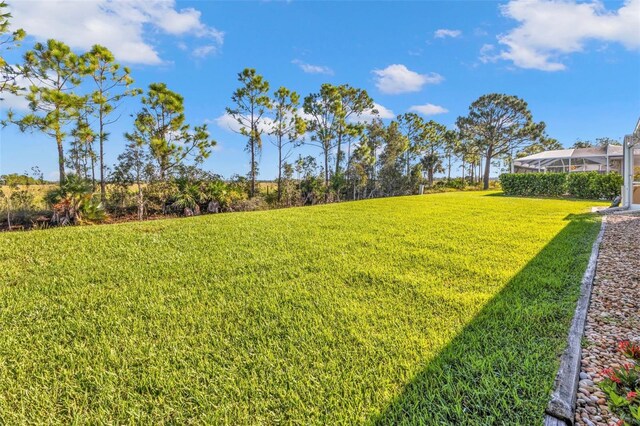 2831 Corinthia Cir, North Fort Myers, FL 33917 - view of yard