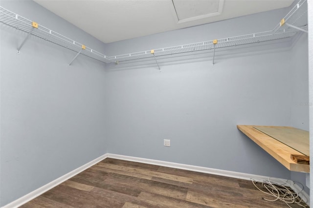 walk in closet featuring hardwood / wood-style flooring