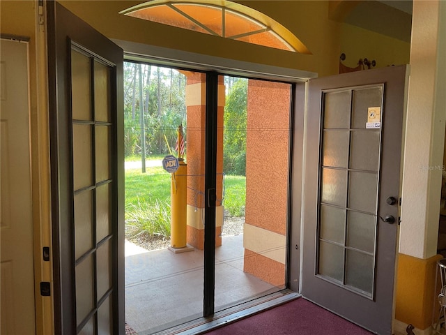 doorway featuring a wealth of natural light