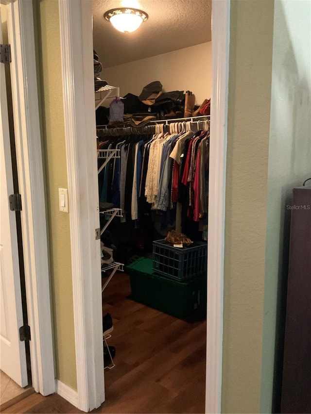 spacious closet with hardwood / wood-style flooring