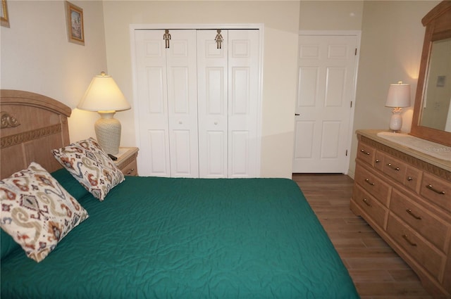 bedroom featuring a closet and dark wood-type flooring