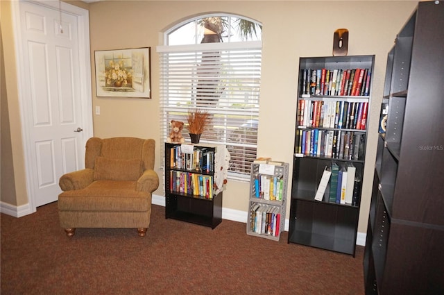 sitting room with dark colored carpet