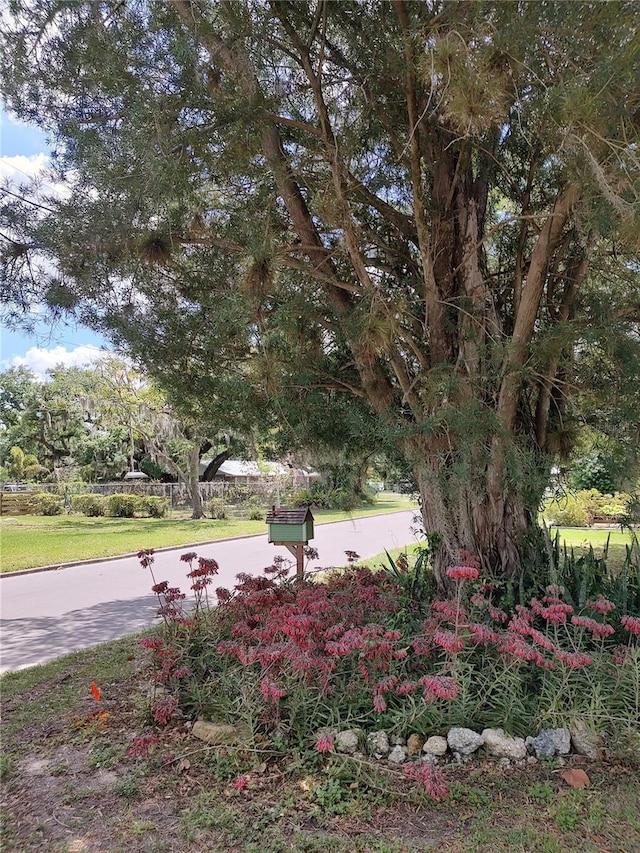 218 S Hernando Ave, Arcadia, FL 34266 - photo 28