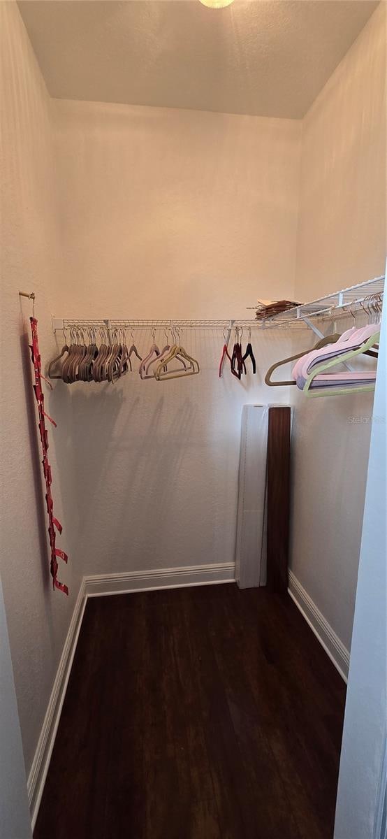 spacious closet with dark hardwood / wood-style flooring