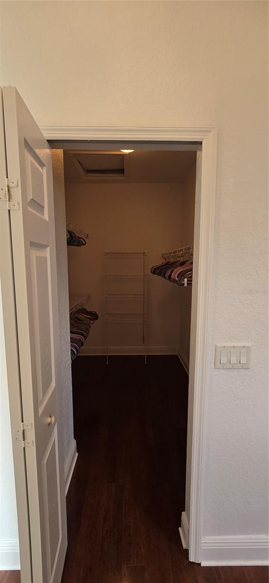 spacious closet with dark hardwood / wood-style flooring