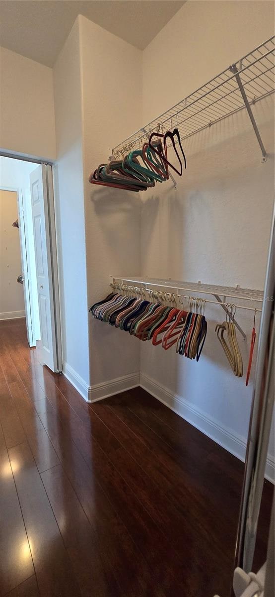 walk in closet with dark hardwood / wood-style floors