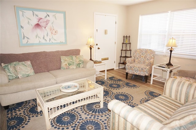 living room with hardwood / wood-style flooring