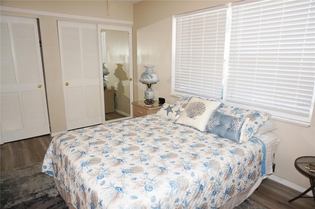 bedroom with dark hardwood / wood-style flooring and two closets