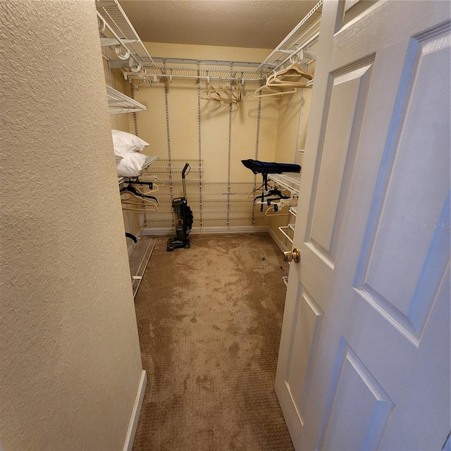 spacious closet with carpet