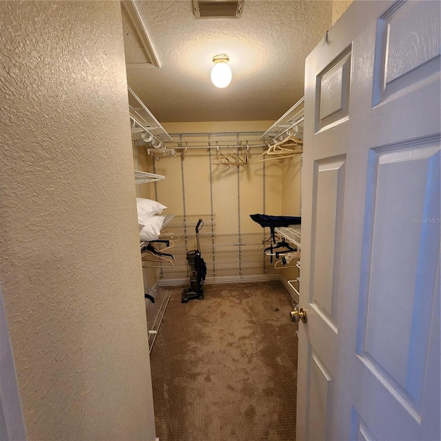 spacious closet with carpet flooring